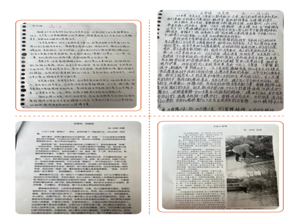 8301916c6a9b41ed8b3a8f5cccfd8b10.png